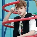 jiminchim elestan