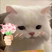 แอดเอง(⁠◍⁠•⁠ᴗ⁠•⁠◍⁠)