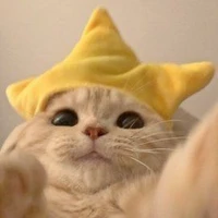 𔓘𝑲𝒖𝒌𝒖𔓘