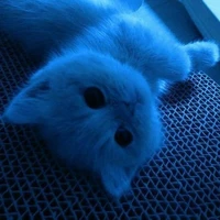 ลิเลีย (ผู้ช่วย)