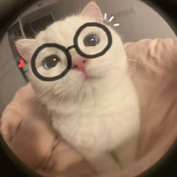 แอดเองค่า