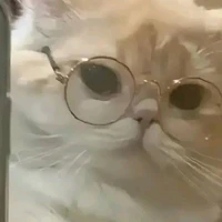 เเอดเอง•-•