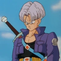 Trunks* adulto
