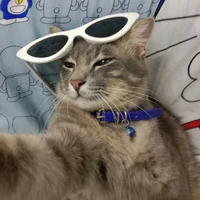 แอด🤏🏻🤏🏻