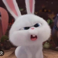 แอดมินเองจ้า