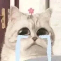 ระบบ/มิน