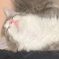 มารุ