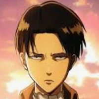 levi