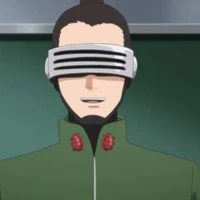 Shino Sensei