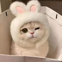 โซดา เอวาร่างแมว