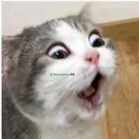 เป็นได้ทุกอย่าง