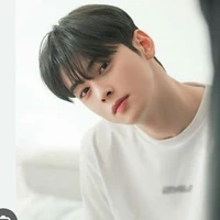 cha eun woo