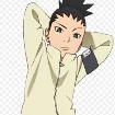 shikadai