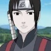 sai