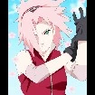 sakura