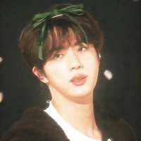kIM SEOKJIN ( RM huswife)