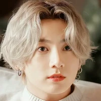 Kim jungkook / supreme omega