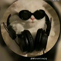 autora