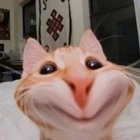 เเอด