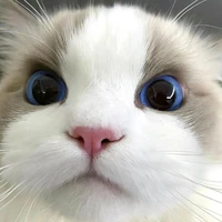 มู😼✨