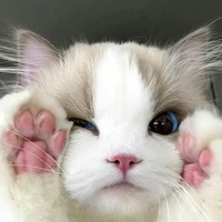 Katz