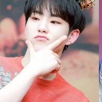 Hoshi osis