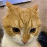 แอดเอง