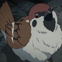bird