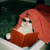 Author 🐱