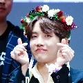 hobi