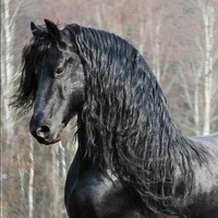 Estridente