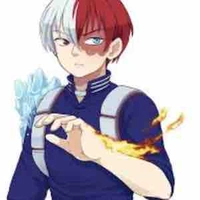 Todoroki 