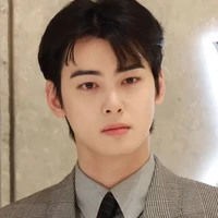 cha eun woo