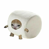 tissue 🫠