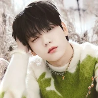 Park Soobin (Omega) prince