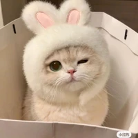คามิ|มนุษย์ครึ่งสัตว์