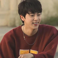 Kim/Jeon Seokjin