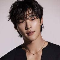 Kim Do Hwan