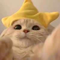 แอด ที่เป็นคนจีนเอ๋อๆคนหนึ่ง