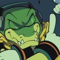 Vector 
