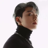 Jeon Jungkook (alfa D)
