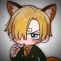 😍sanji😍
