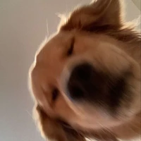 KEN