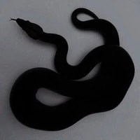 พวกพี่น.อ