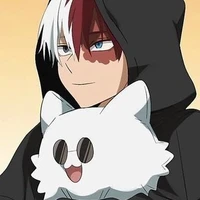 Shoto Todoroki