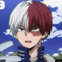 shoto todoroki