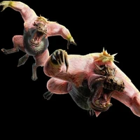 Conga