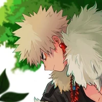 /D.P.D/ Katsuki bakugou