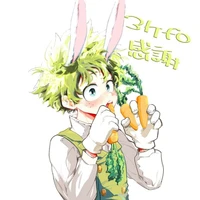 /D.P.O/ izuku midoriya