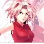 sakura